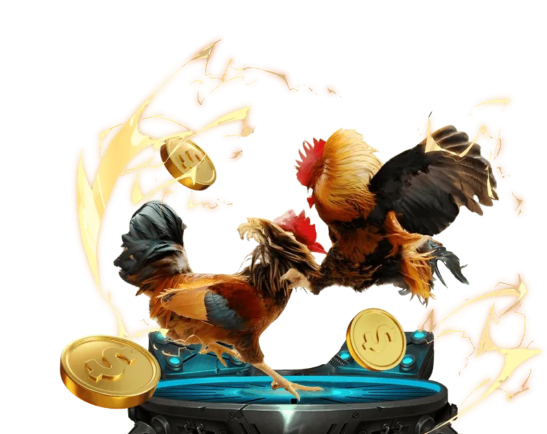 Hình ảnh tài liệu pháp lý Điều Khoản Dịch Vụ